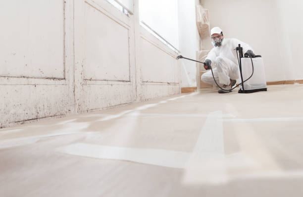 24/7 Emergency Black Mold Removal experts in Oakland, OR