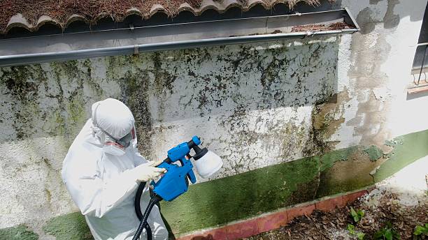 Trusted Crawl Space Mold Removal service in Oakland, OR - Cheap Mold Removal